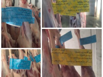 درج لیبل تعیین جنسیت و نوع گونه دام بر روی گوشتهای استحصالی در کشتارگاه بافق