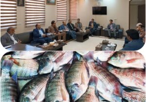 ایجاد شهرک پایلوت کشوری پرورش ماهی تیلاپیا در شهرستان بافق با ظرفیت ۱۰‌ واحد تولیدی
